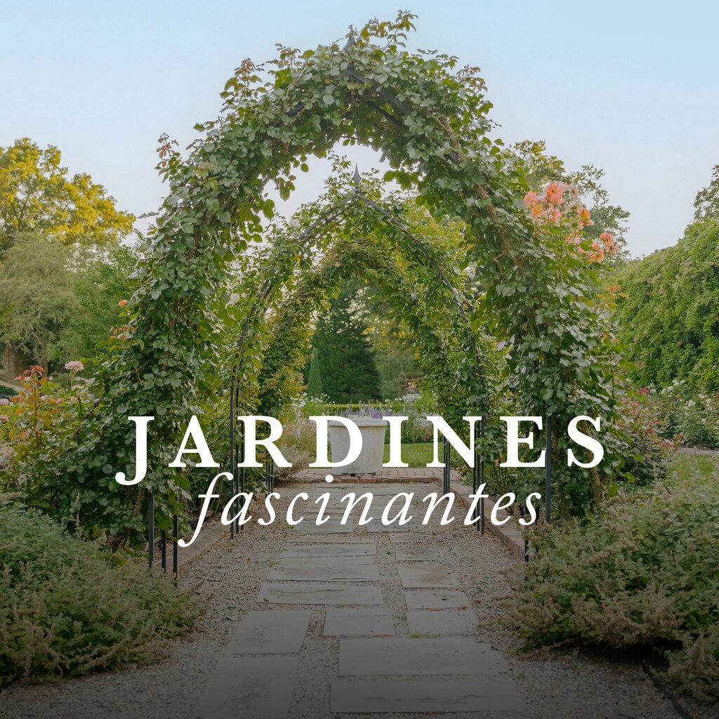 Jardines fascinantes