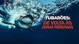 Tubarões: De Volta às Zonas Perigosas