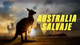 Australia salvaje