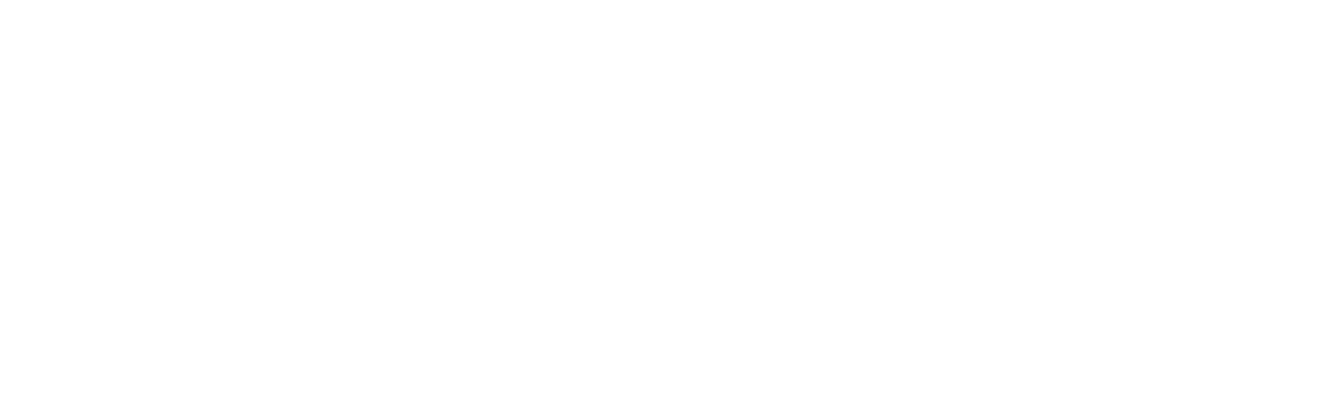 Storefront Stories