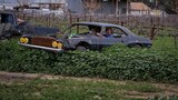 Out of the Weeds, Into the Garage