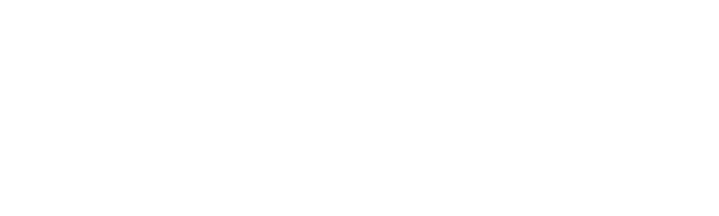 Survive the Raft