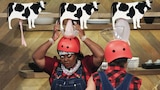 Spoiled Rotten: From Farm to Fumble