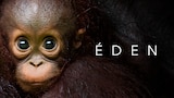 Eden