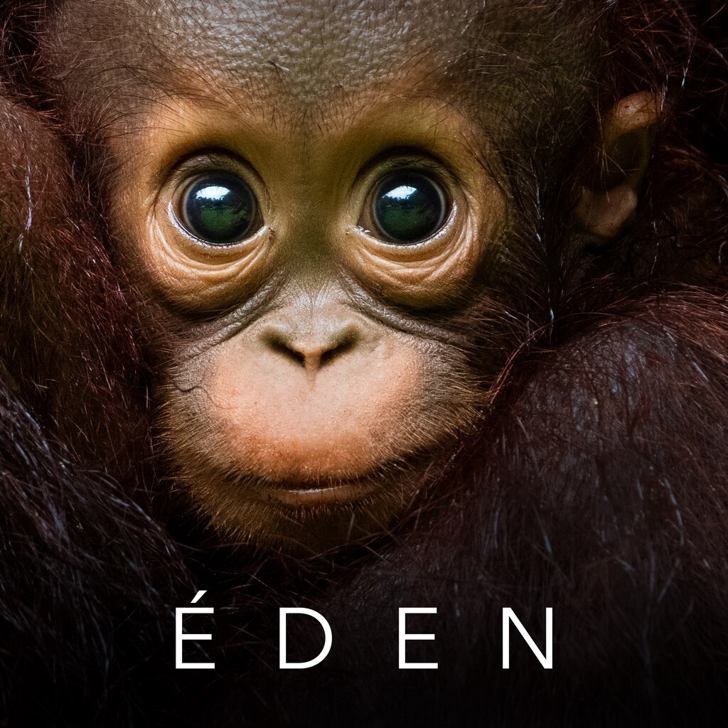 Eden
