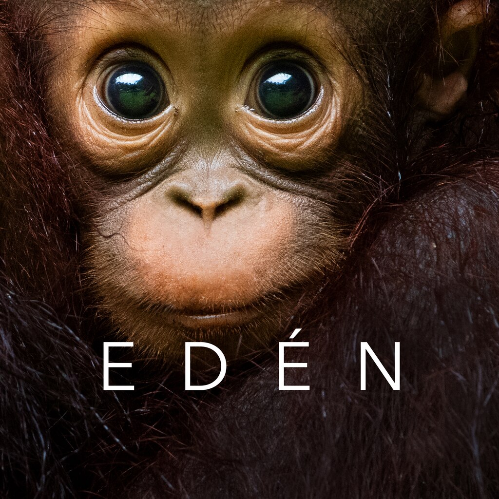 Edén