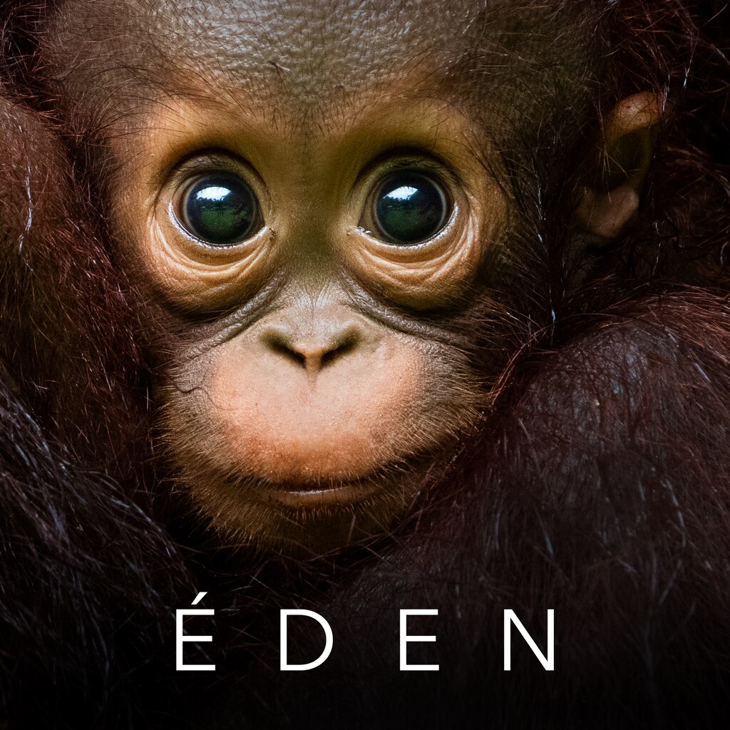 Éden