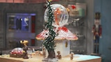 Gingerbread Showdown: Best in Show