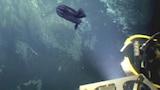 Alien in the Abyss