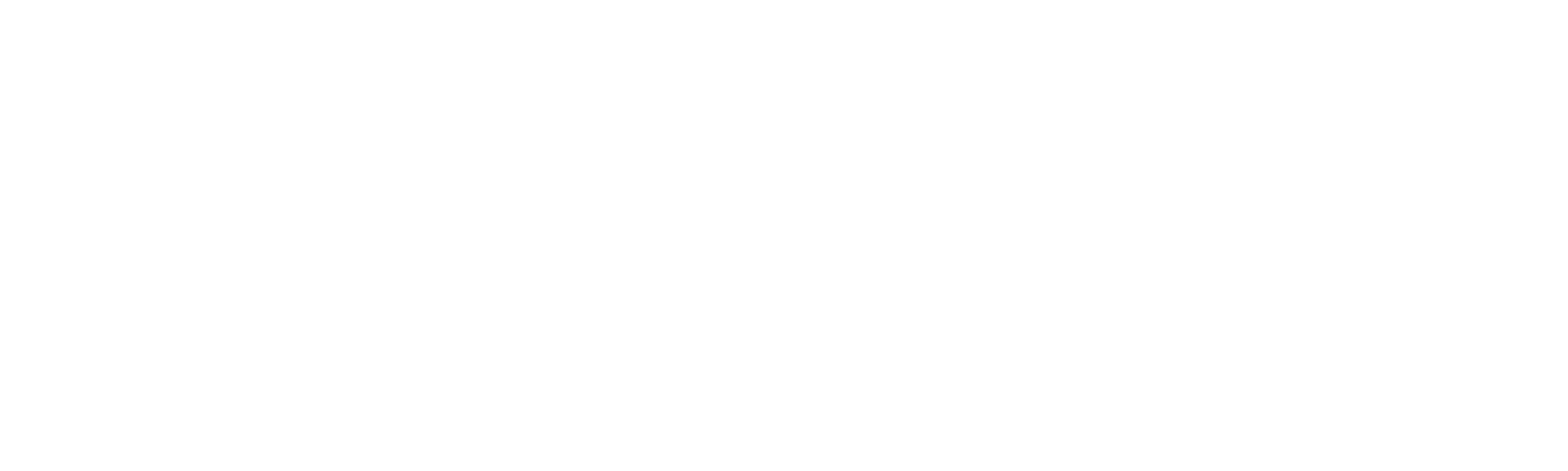 Todo en 90 días: casados en el extranjero ¡de regreso!