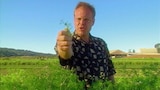 Herbal Preservation