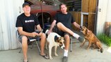 Friday QandA With Freiburger and Dulcich