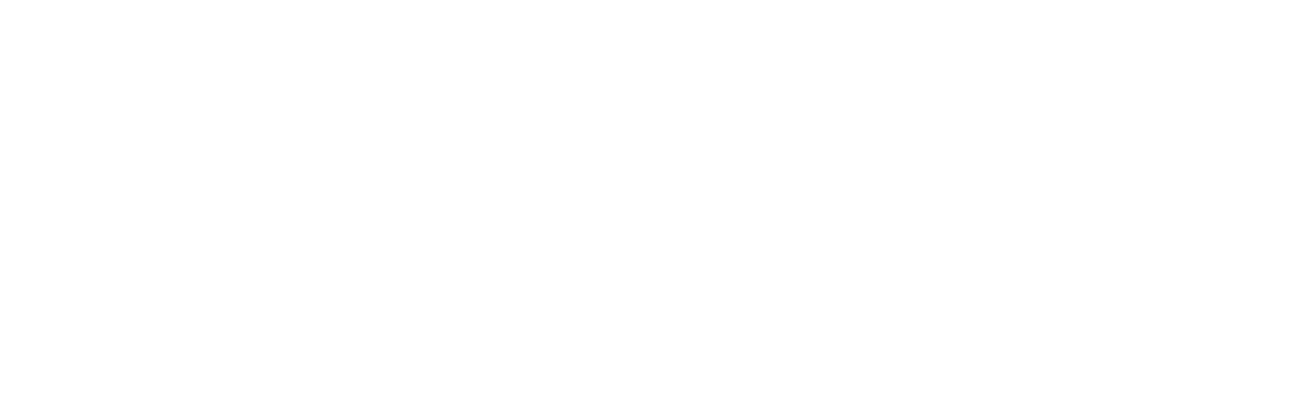 Todo en 90 días: Nicole y Azan