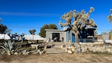 Desert Debacle to Dream Oasis