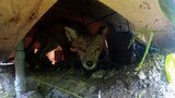 Mysteries in the Moose State