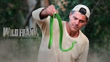 Wild Frank y el beso de la mamba negra