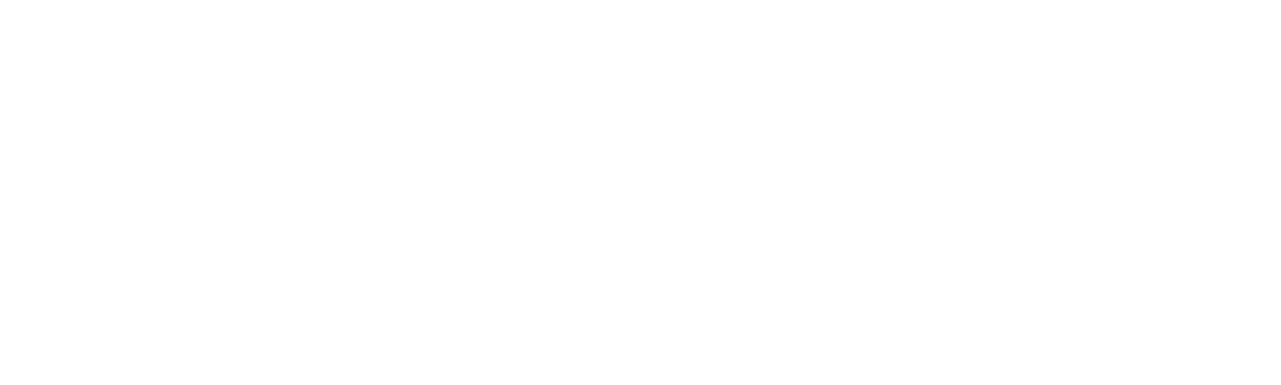 Michelle Carter: romance, mensajes y muerte