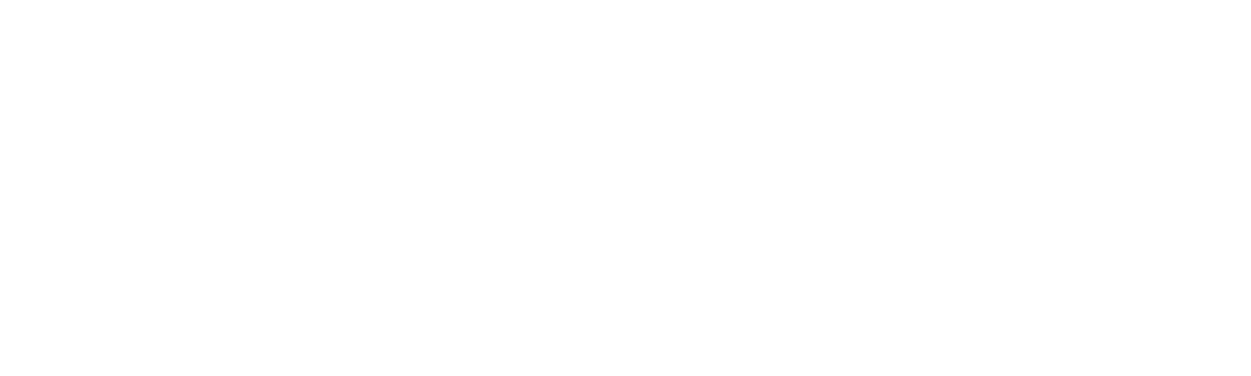 Desafío X 2: Brasil (Leo y Leite)