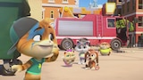 A Puppy To Save