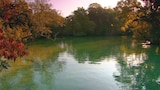 Manatee Spring