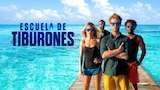 Escuela de tiburones