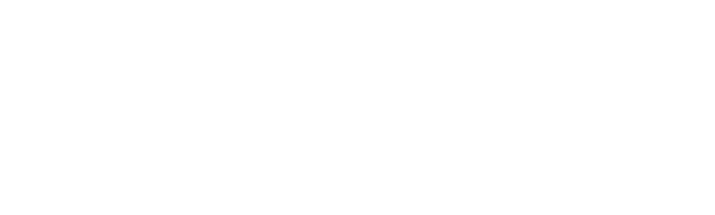 Diarios de un detective