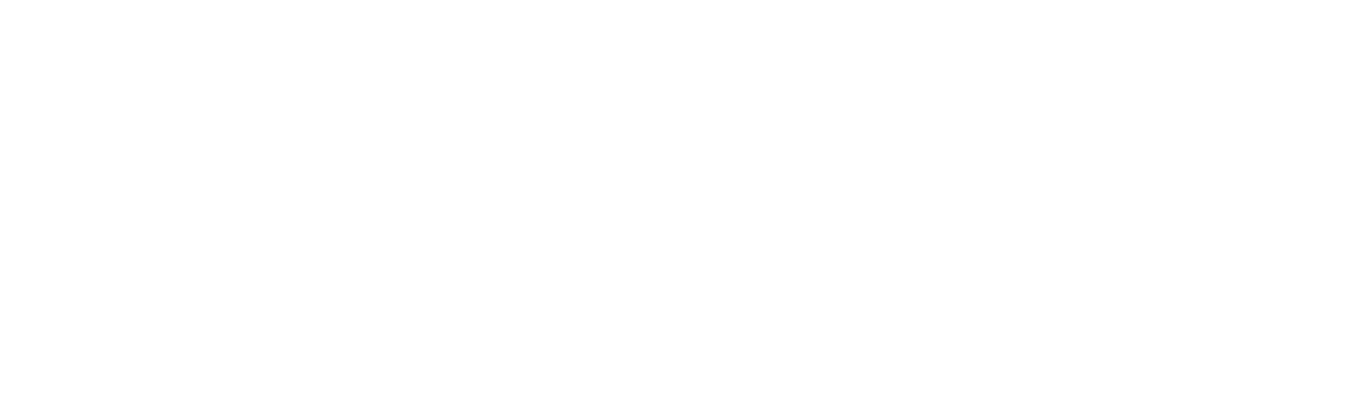 Diarios de un detective