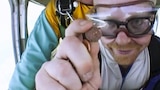 Penny Drop
