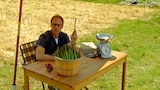 Age Of Asparagus
