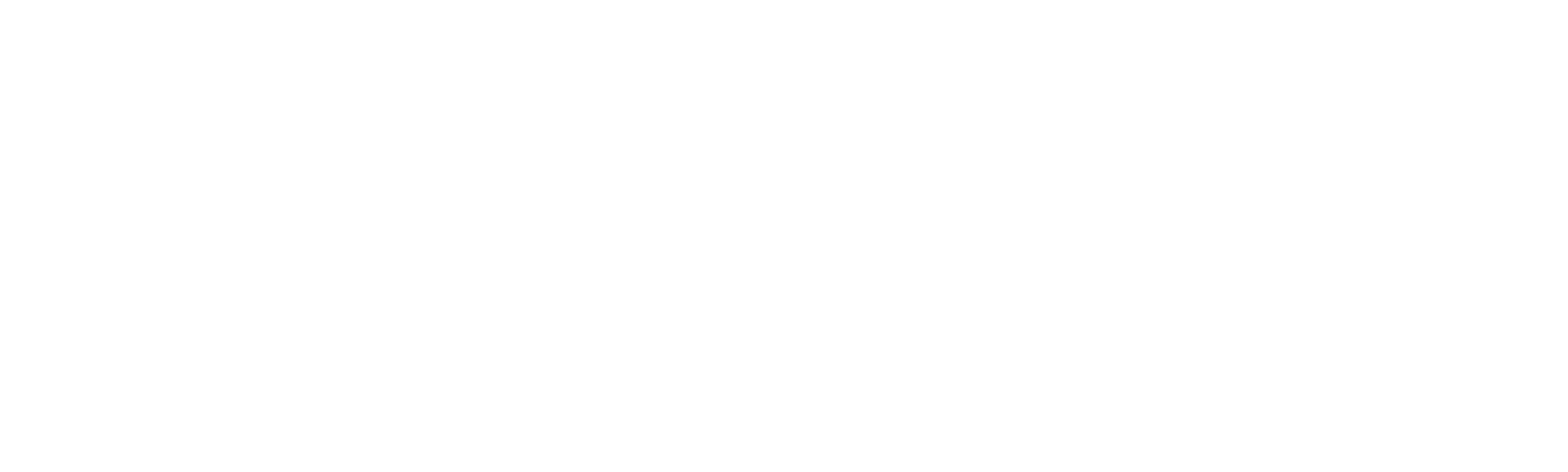 Todo en 90 días: Russ y Pao