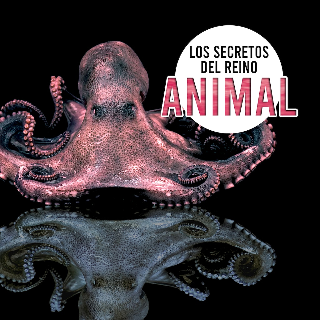Los secretos del reino animal