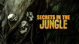 Secrets in the Jungle