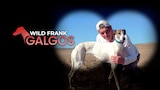 Wild Frank: galgos