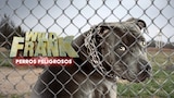 Wild Frank: Perros Peligrosos
