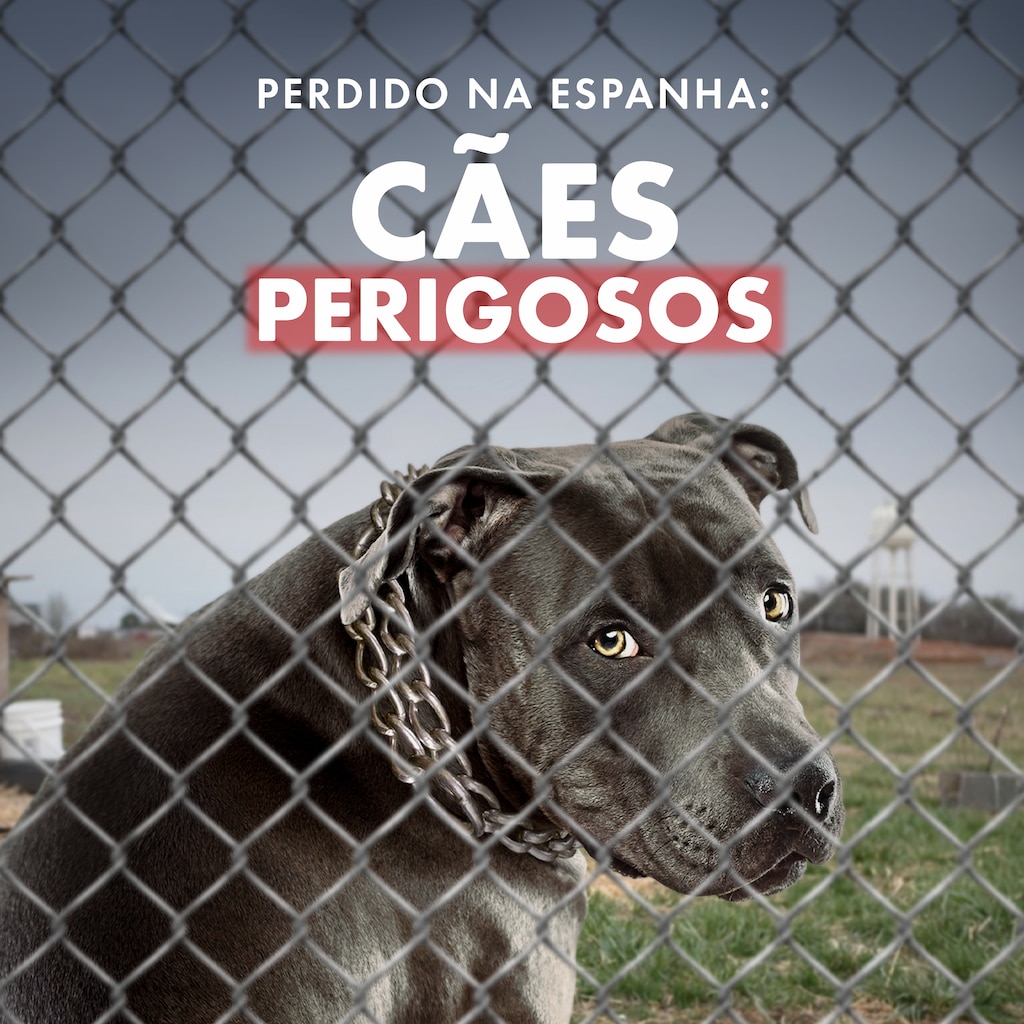 Perdido na Espanha: Cães Perigosos