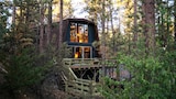 Big Bear Treehouse