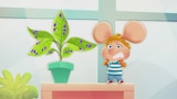 SOS Plant