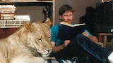 Utah’s Lion King