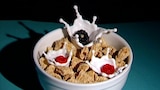 Food Twists