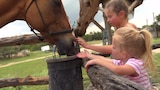 Raising Quints 101
