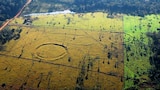 El imperio perdido de la Amazonia