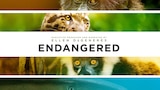 Endangered