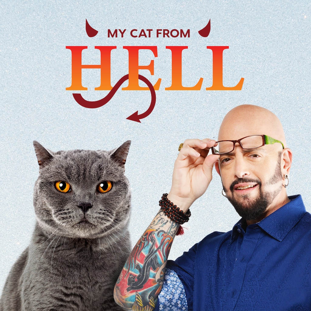 My Cat From Hell