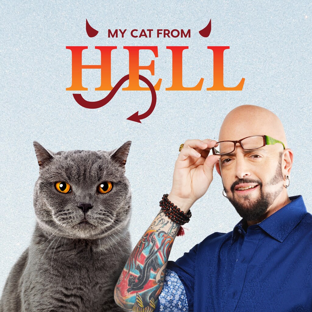 My Cat From Hell