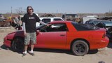 Dulcich on Junkyard Shelf Life