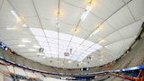 Stadium Disaster