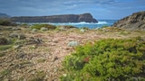 Secrets of Mafia Island