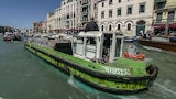 Venice Trash, Sheepskin Boots, Chlorella