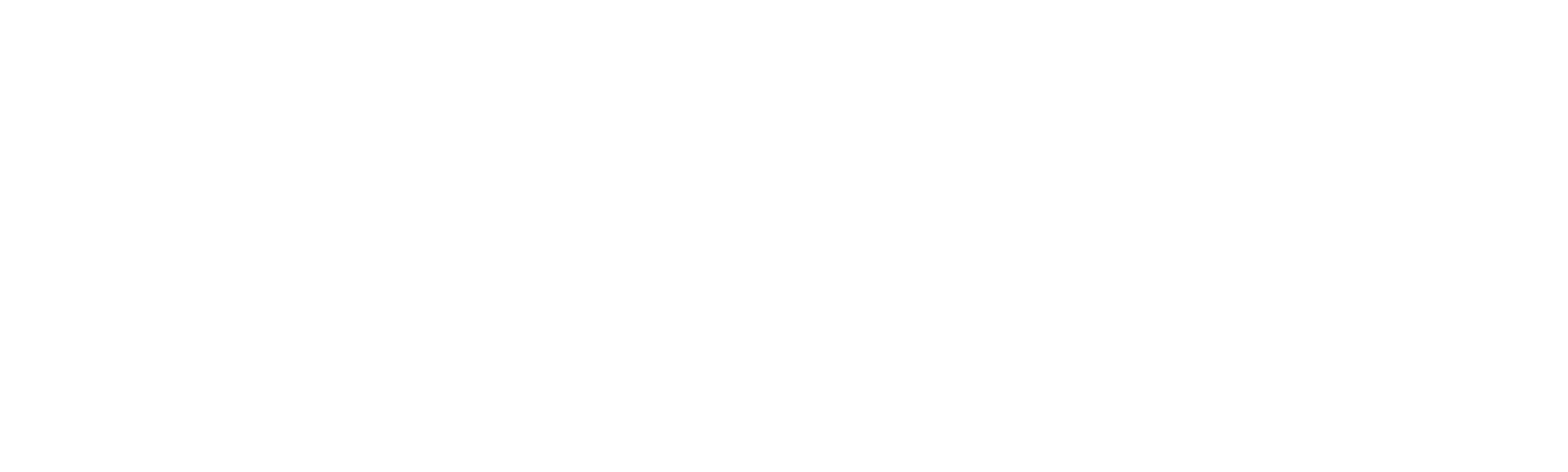 Verdadeiras Mentiras