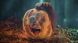 Scary Sculpting